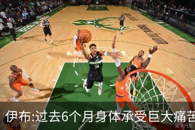 伊布:过去6个月身体承受巨大痛苦 只为帮球队夺冠